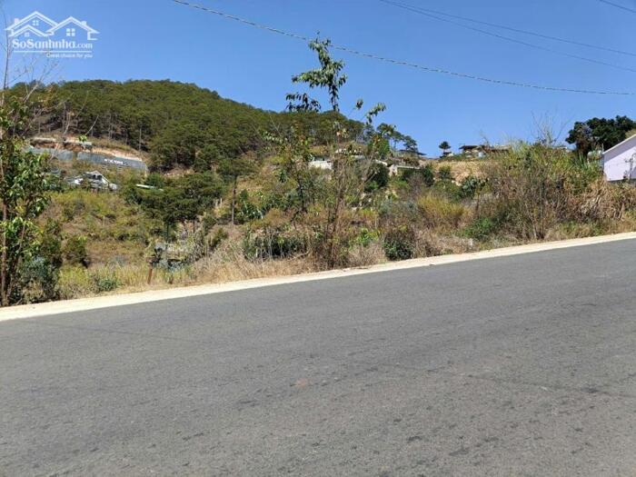 Hình ảnh Bán Đất Biệt Thự View Rừng Thông – Xã Xuân Thọ (Phường Xuân Trường), TP. Đà Lạt 1