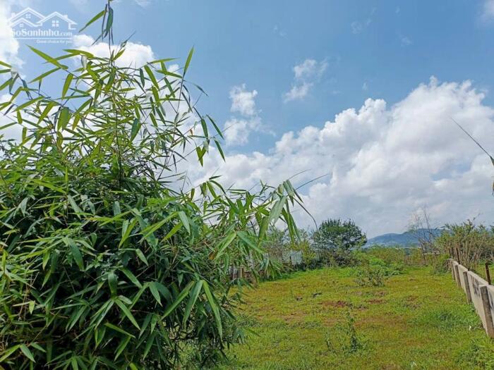 Hình ảnh Bán 2 Lô Đất Mặt Tiền Đường Măng Lin, Phường 7, TP. Đà Lạt – Cạnh Vỏ Gỗ Garden 5