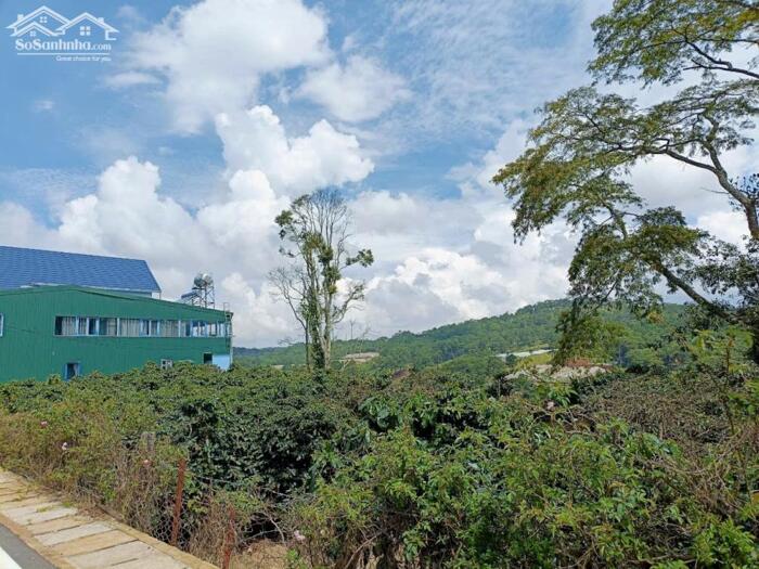 Hình ảnh Bán 2 Lô Đất Mặt Tiền Đường Măng Lin, Phường 7, TP. Đà Lạt – Cạnh Vỏ Gỗ Garden 4