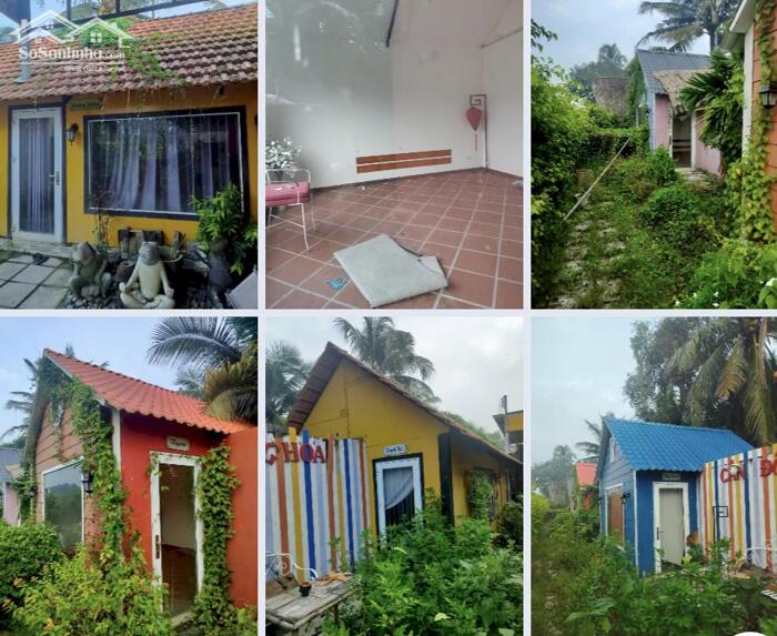 Hình ảnh Cho thuê 3000m2 đất giáp đường bờ bao sông SG, Nhị Bình Hóc Môn 1