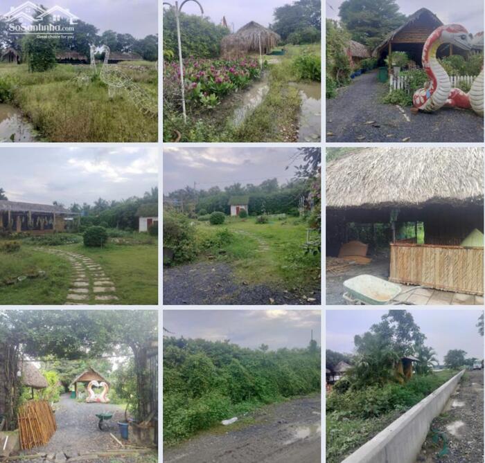 Hình ảnh Cho thuê 3000m2 đất giáp đường bờ bao sông SG, Nhị Bình Hóc Môn 2