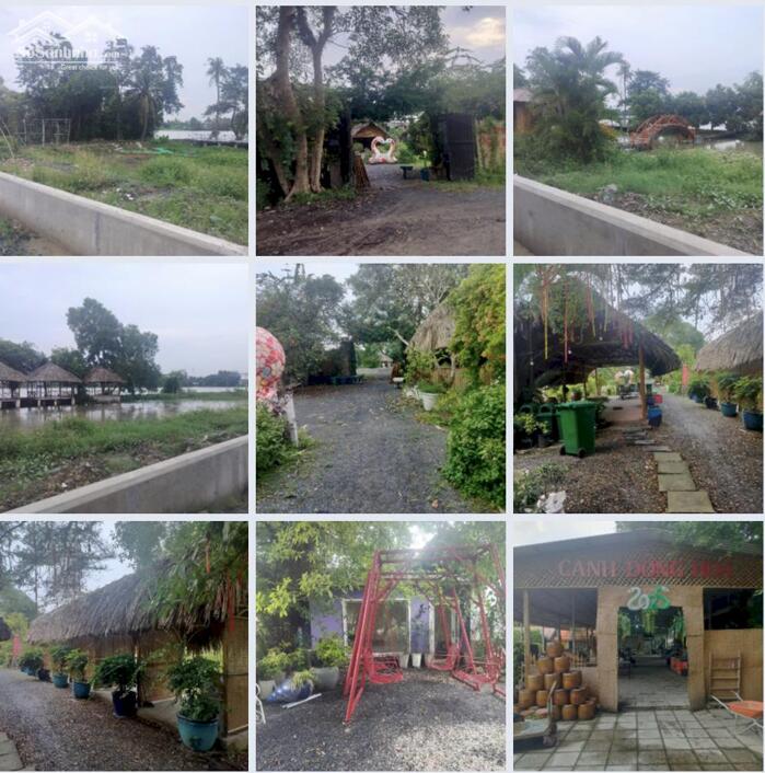 Hình ảnh Cho thuê 3000m2 đất giáp đường bờ bao sông SG, Nhị Bình Hóc Môn 0