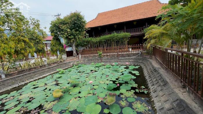 Hình ảnh Cho Thuê Biệt Thự Sinh Thái 3 MẶT TIỀN ĐƯỜNG Cao Cấp Tại Nha Trang - 3.200M² 6