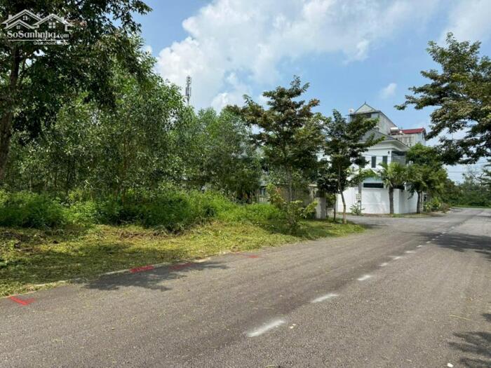 Hình ảnh Bán lô đất 99m2, hướng Đông Bắc tại khu Đồng Xuân, Kim Long, Tam Dương, Vĩnh Phúc 1