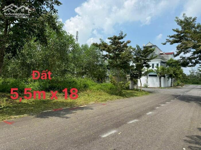 Hình ảnh Bán lô đất 99m2, hướng Đông Bắc tại khu Đồng Xuân, Kim Long, Tam Dương, Vĩnh Phúc 0