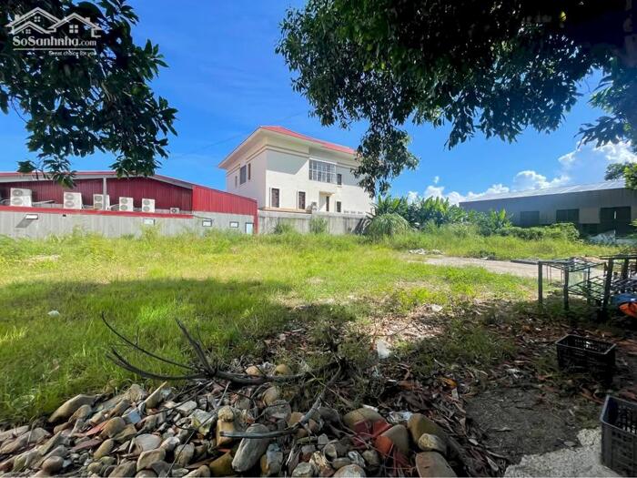 Hình ảnh Chính chủ chuyển định cư, Bán ô Đất 1180m2 KĐT Đông Hùng Thắng, trung tâm du lịch Bãi Cháy, Hạ Long. 3