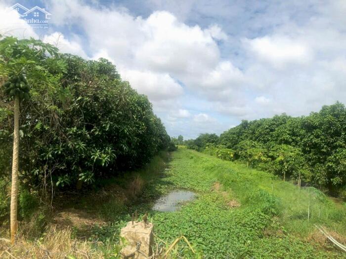 Hình ảnh Bán 2717m2 đất mặt tiền đường dẫn Cầu Cần Thơ, Phường Đông Thuận, Bình Minh 2