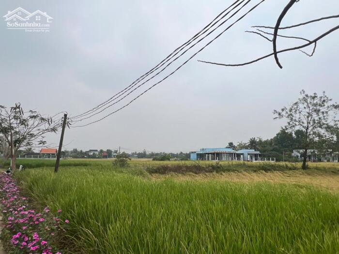 Hình ảnh Đất thổ cư 160m2 mt xe hơi xã Tân Lân cần bán gấp giá rẻ 720tr 1