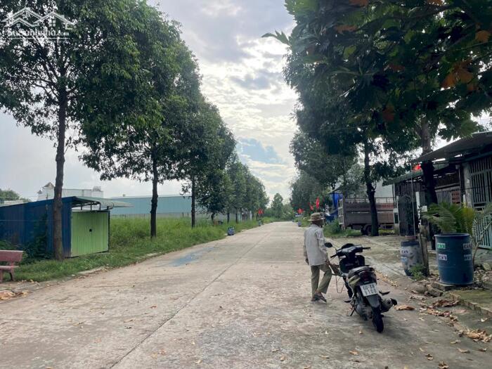 Hình ảnh NGÔP ! Bán Nhanh Đất Nền NI16A Tại Thơí Hòa , Bến Cát , Bình Dương Dtich 5x30 SHR 2