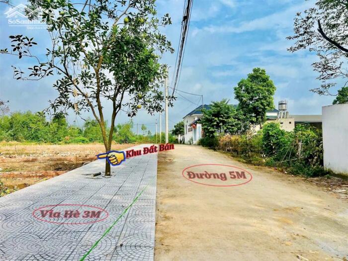 Hình ảnh Bán đất thôn Mới, Thanh vân, Tam dương 2