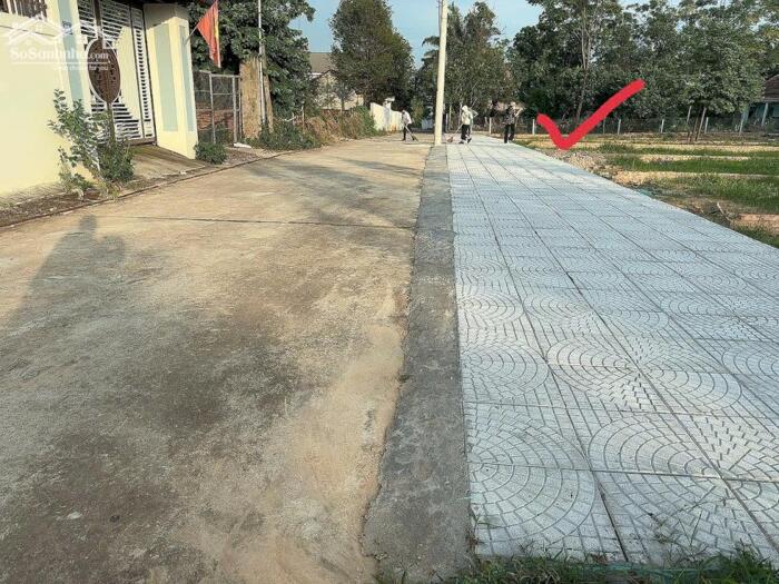 Hình ảnh Bán đất thôn Mới, Thanh vân, Tam dương 3