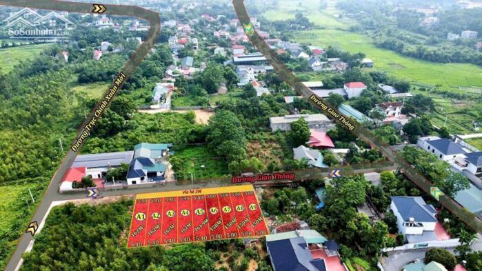 Hình ảnh Bán đất thôn Mới, Thanh vân, Tam dương 1