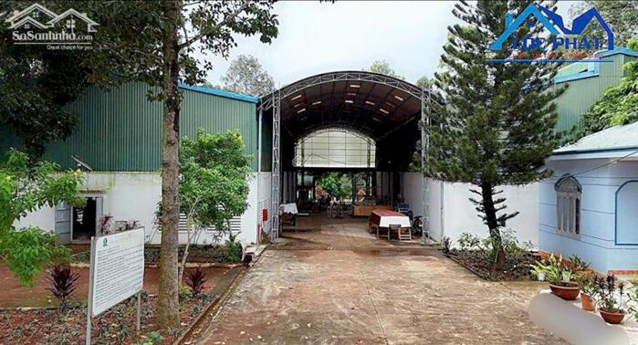 Hình ảnh Bán nhà xưởng tại Đinh Quán Đồng Nai 2,6ha giá chỉ 40 tỷ 2