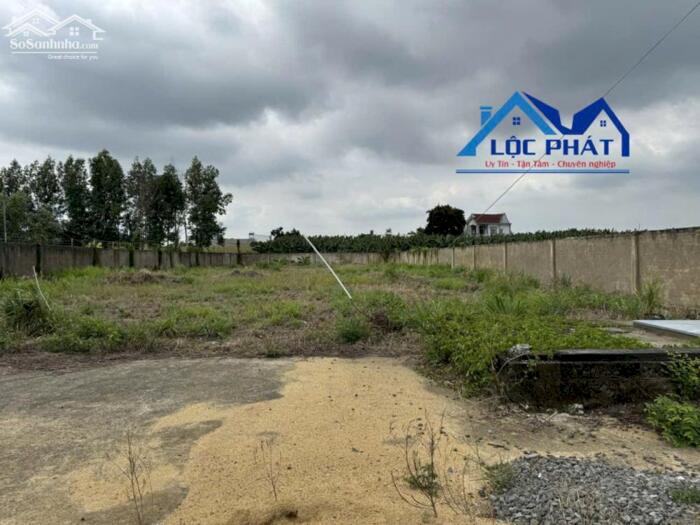 Hình ảnh Bán xưởng Vĩnh Tân Vĩnh Cửu Đồng Nai 13.000 m2 chỉ 47 tỷ 5