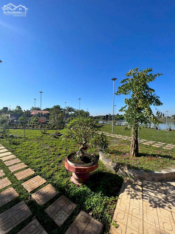Hình ảnh View nghỉ dưỡng bờ sông Đồng Nai .3500m2. View thiết kế bài bảng Sang Trọng 13
