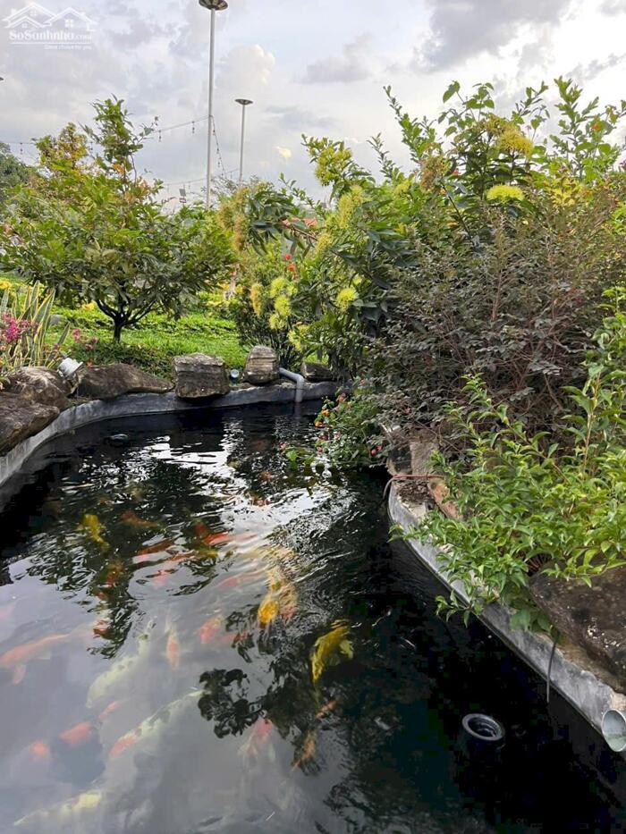 Hình ảnh View nghỉ dưỡng bờ sông Đồng Nai .3500m2. View thiết kế bài bảng Sang Trọng 3