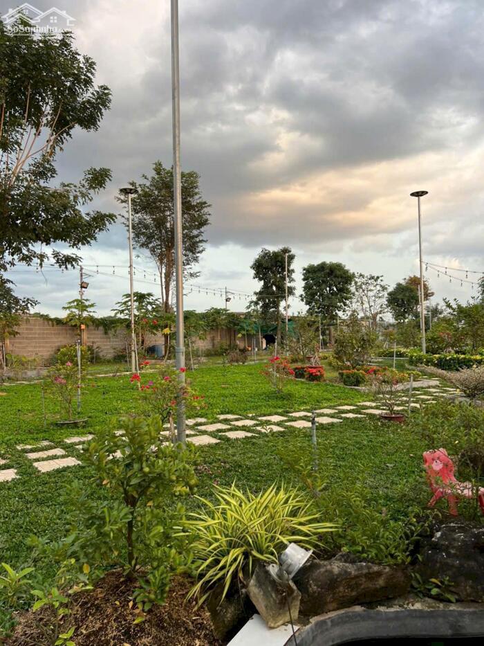 Hình ảnh View nghỉ dưỡng bờ sông Đồng Nai .3500m2. View thiết kế bài bảng Sang Trọng 4