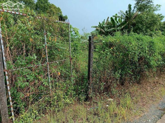 Hình ảnh Đất thổ cư 321m2 mt đường 3m xã Tân Lân Chủ kẹt bán gấp 980tr 2