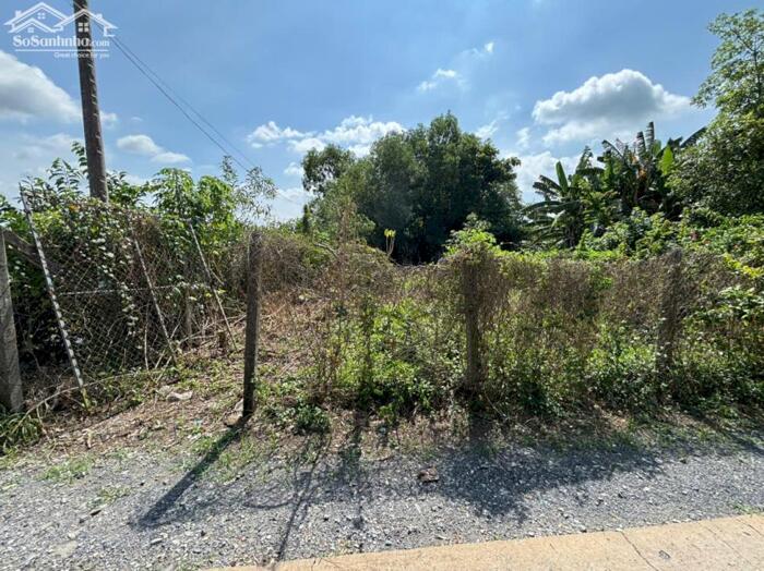 Hình ảnh Đất thổ cư 321m2 mt đường 3m xã Tân Lân Chủ kẹt bán gấp 980tr 3