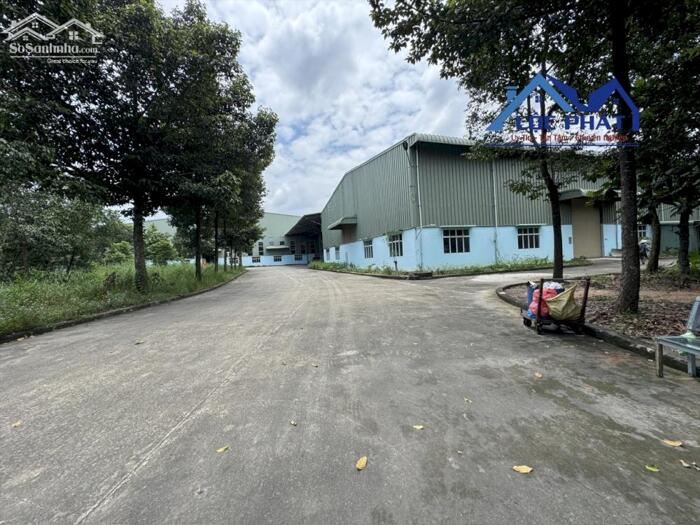 Hình ảnh Cho thuê nhà xưởng 1050m2 giá chỉ 80 triệu/tháng. Tam Phước-Biên Hòa-Đồng Nai 3
