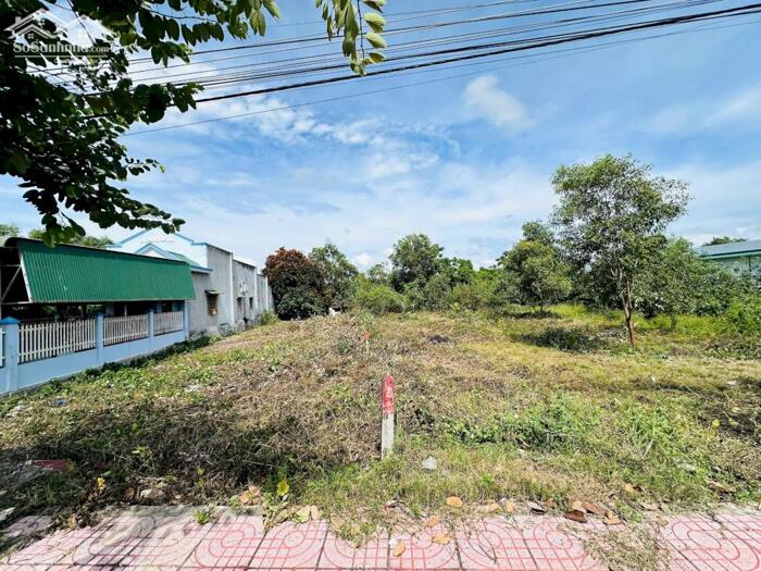 Hình ảnh Cần Bán Gấp Mặt Tiền Nguyễn Du LaGi 11,5x32(470m2) Giá Cực Rẻ Gần Biển 3