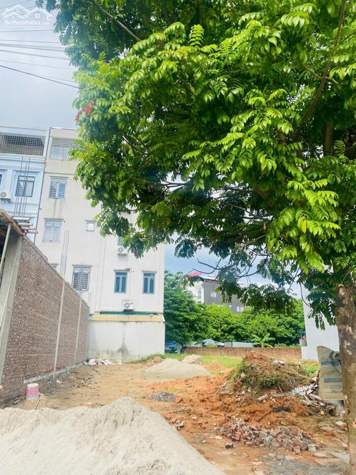 Hình ảnh Bán đất view vườn hoa băng 2 Bà Triệu, Liên Bảo, Vĩnh Yên, Vĩnh Phúc 3