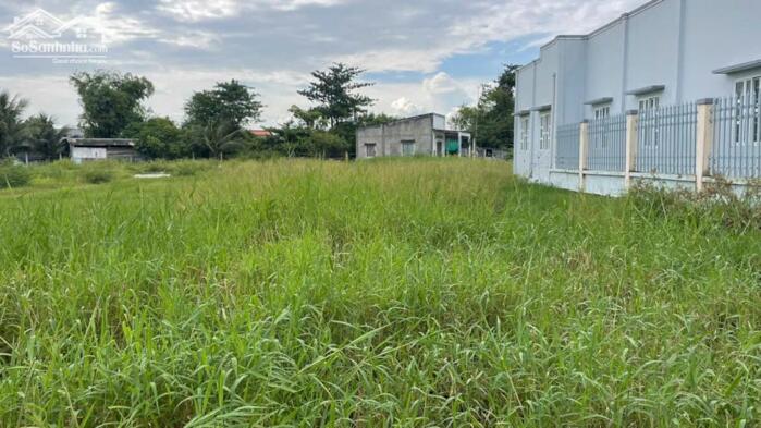 Hình ảnh B.á.n 2500m2 đất thổ, vườn gần KCN Gia Thuận, Gò Công , Tiền Giang nay là tỉnh Đồng Tháp. 1