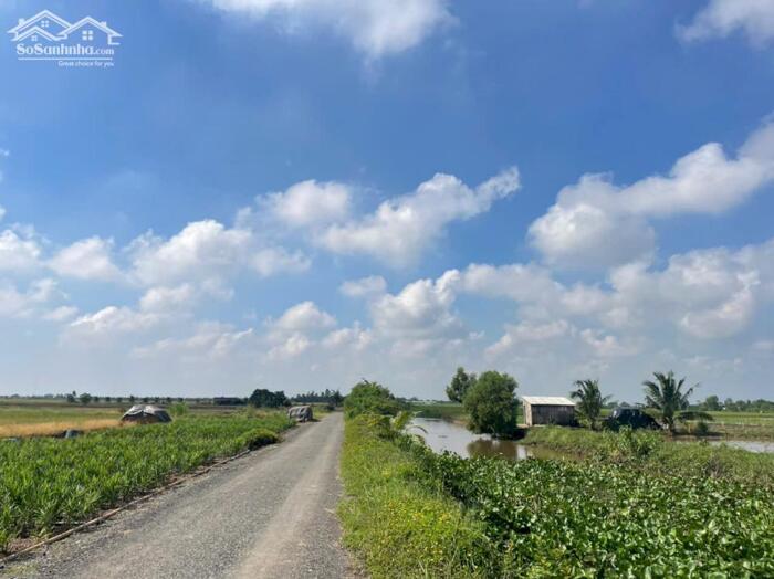 Hình ảnh 1 tỷ 350 triệu bán (50x52) đất nền đẹp, thổ cư gần biển Rạch Bùn, Tân Điền, Gò Công Đông, TG 2