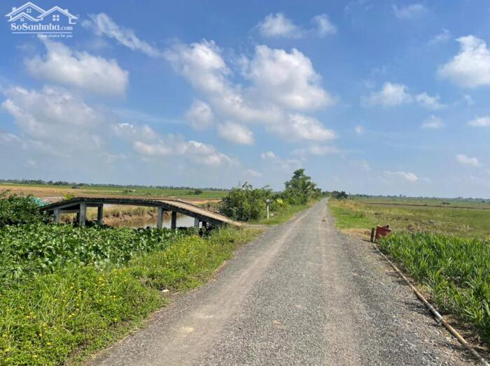 Hình ảnh 1 tỷ 350 triệu bán (50x52) đất nền đẹp, thổ cư gần biển Rạch Bùn, Tân Điền, Gò Công Đông, TG 0