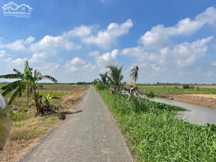 Hình ảnh 1 tỷ 350 triệu bán (50x52) đất nền đẹp, thổ cư gần biển Rạch Bùn, Tân Điền, Gò Công Đông, TG 3