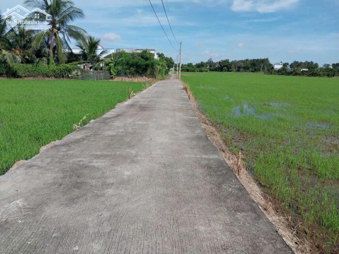 Hình ảnh (6x31) đất đẹp, đường ôtô gần TL873, QL50 tại TP Gò Công, Tiền Giang. 3