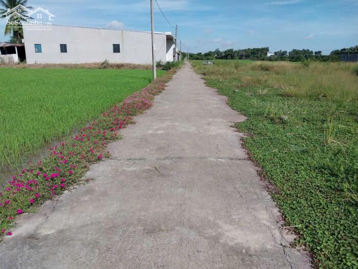 Hình ảnh (6x31) đất đẹp, đường ôtô gần TL873, QL50 tại TP Gò Công, Tiền Giang. 4