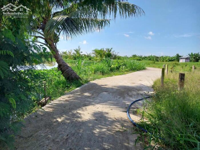 Hình ảnh (6x31) đất đẹp, đường ôtô gần TL873, QL50 tại TP Gò Công, Tiền Giang. 1