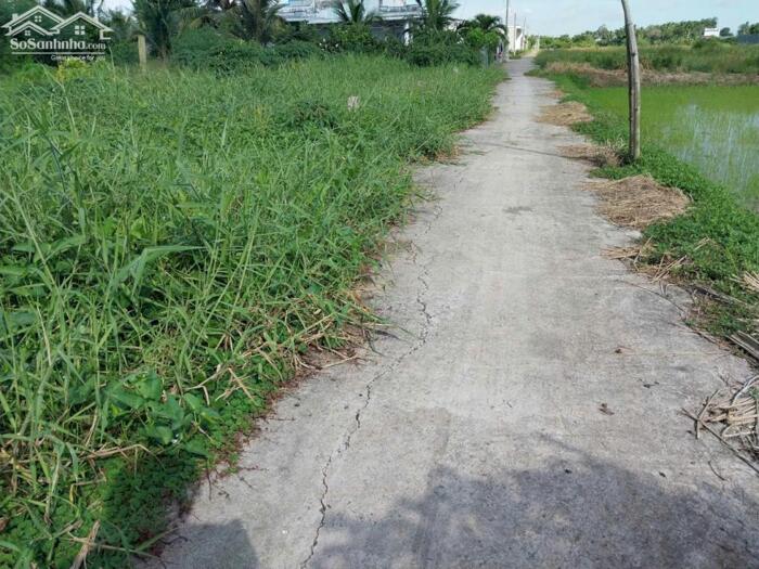 Hình ảnh (6x31) đất đẹp, đường ôtô gần TL873, QL50 tại TP Gò Công, Tiền Giang. 2