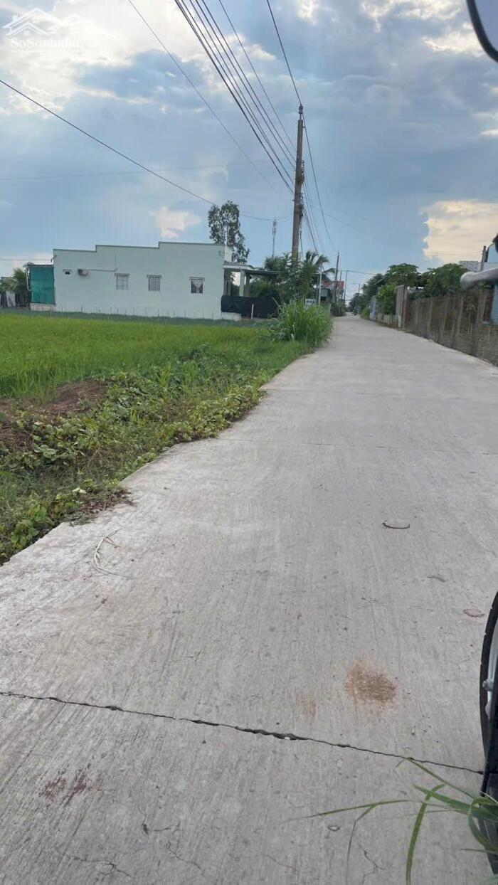 Hình ảnh B.á.n 6 công đất có 88m mt giáp đường ôtô gần biển Rạch Bùn, Tân Điền, tỉnh Đồng Tháp mới. 3