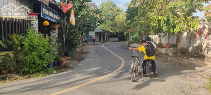 Hình ảnh Kho xưởng mt Nguyễn Thị Nghé-Thới Tam Thôn-Hóc Môn.Dt 410m2~8,5ty 1