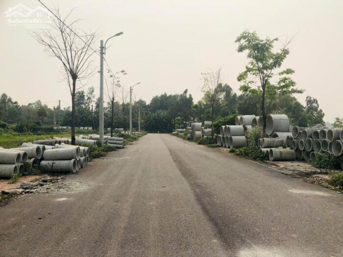 Hình ảnh Bán đất đấu giá xóm Chám, Định Trung, Vĩnh Yên, Vĩnh Phúc 0