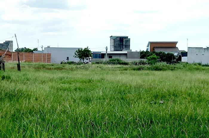 Hình ảnh Đại Hạ Giá-Đất thôn Xuân Phú-Bình Thuận(Phong Nẫm)-Lâm Đồng-1.900m2CLN. 2