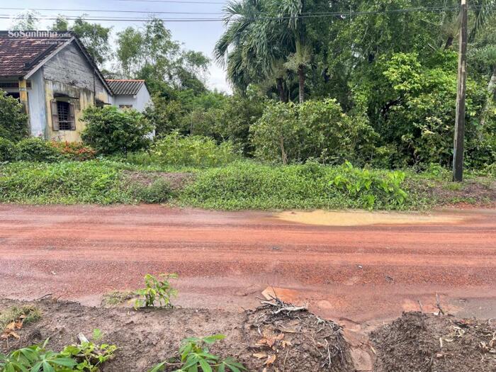 Hình ảnh Đất thổ nền góc 2 mt đường 146m2 xã Phước Đông cần bán gấp giá đầu tư 650tr 2