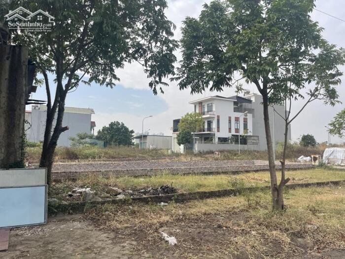 Hình ảnh Bán 80m đất tái định cư Đa Tốn, mặt tiền 6,45m siêu đẹp, đường 13m có thể định cư, giữ tiền 5