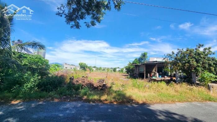 Hình ảnh bán đất biển lagi, lâm đồng. DT 10x43 nở hậu 11m MT nguyễn Thông, giá 200 triệu 1m 0