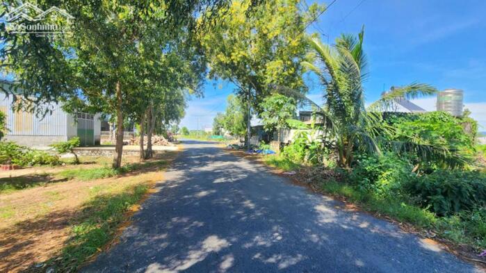 Hình ảnh bán đất biển lagi, lâm đồng. DT 10x43 nở hậu 11m MT nguyễn Thông, giá 200 triệu 1m 5