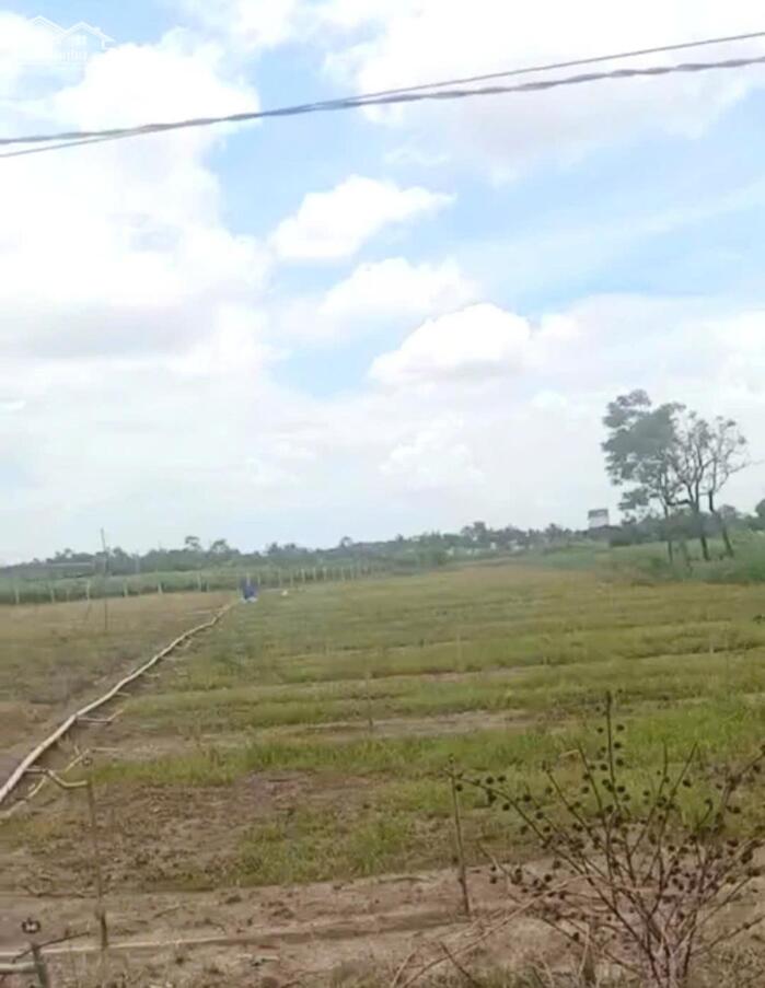 Hình ảnh B.á.n 6,2 công đất nền đẹp – mặt tiền ôtô gần HL02 hướng TT Tân Hòa cũ nay xã Tân Hòa , Đồng Tháp mới 3