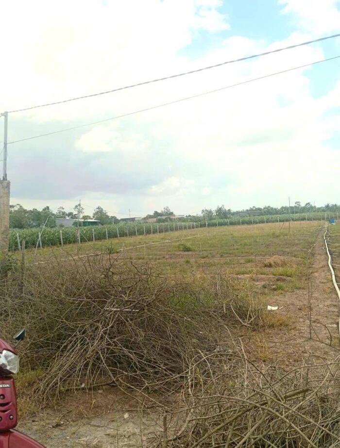 Hình ảnh B.á.n 6,2 công đất nền đẹp – mặt tiền ôtô gần HL02 hướng TT Tân Hòa cũ nay xã Tân Hòa , Đồng Tháp mới 0