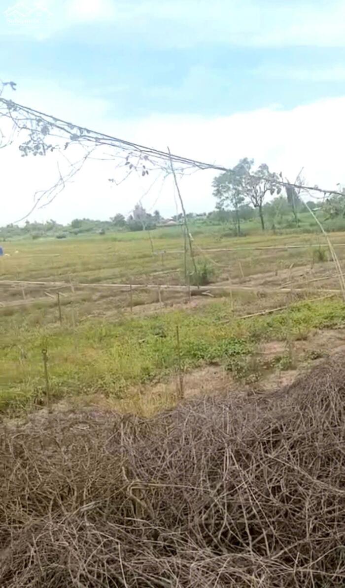 Hình ảnh B.á.n 6,2 công đất nền đẹp – mặt tiền ôtô gần HL02 hướng TT Tân Hòa cũ nay xã Tân Hòa , Đồng Tháp mới 2