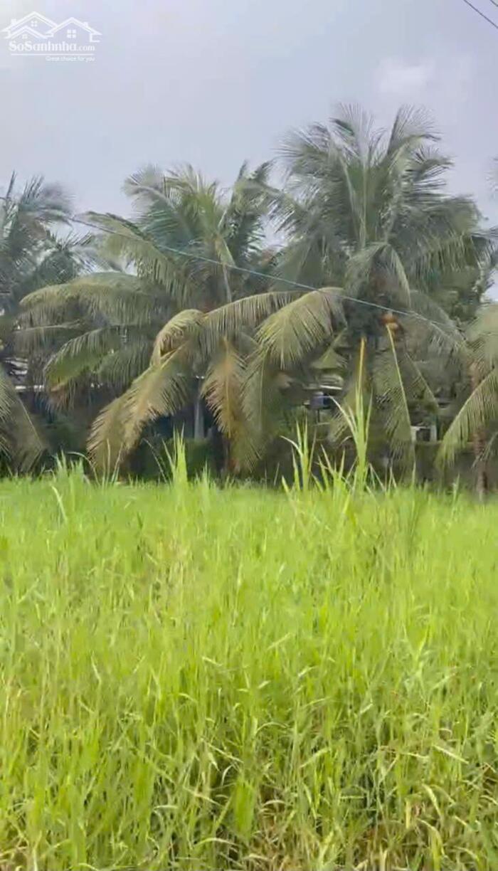 Hình ảnh B.á.n (22x45) đất nền đẹp gần Cống Rạch Bùn – Tân Điền, Gò Công Đông, TG 3