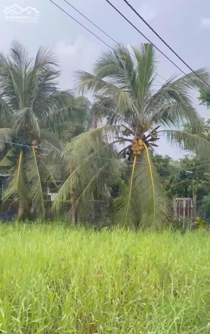 Hình ảnh B.á.n (22x45) đất nền đẹp gần Cống Rạch Bùn – Tân Điền, Gò Công Đông, TG 1