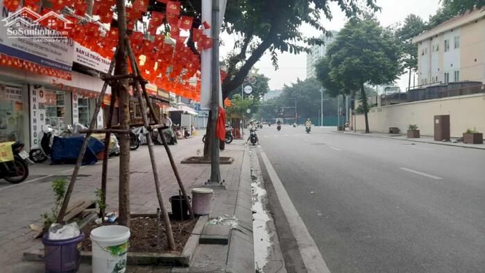 Hình ảnh Bán Nhà Mặt Phố Nguyễn Thái Học Ba Đình 90m2-7T Thang Máy 94 Tỷ Có Thương Lượng. 5