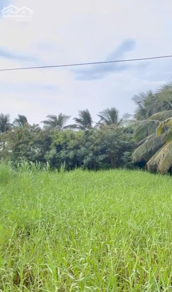 Hình ảnh B.á.n (22x45) đất nền đẹp gần biển Rạch Bùn – Tân Điền, Gò Công Đông, Tiền Giang 2