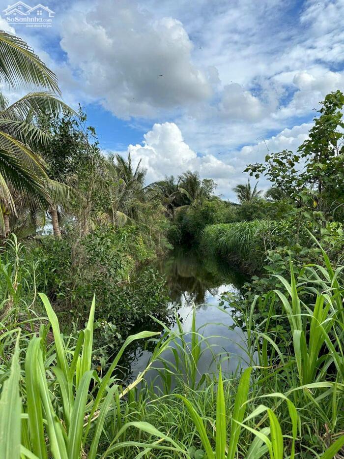 Hình ảnh B.á.n (22x45) đất nền đẹp gần biển Rạch Bùn – Tân Điền, Gò Công Đông, Tiền Giang 4